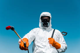 Emergency Pest Control Services in Lower Burrell, PA